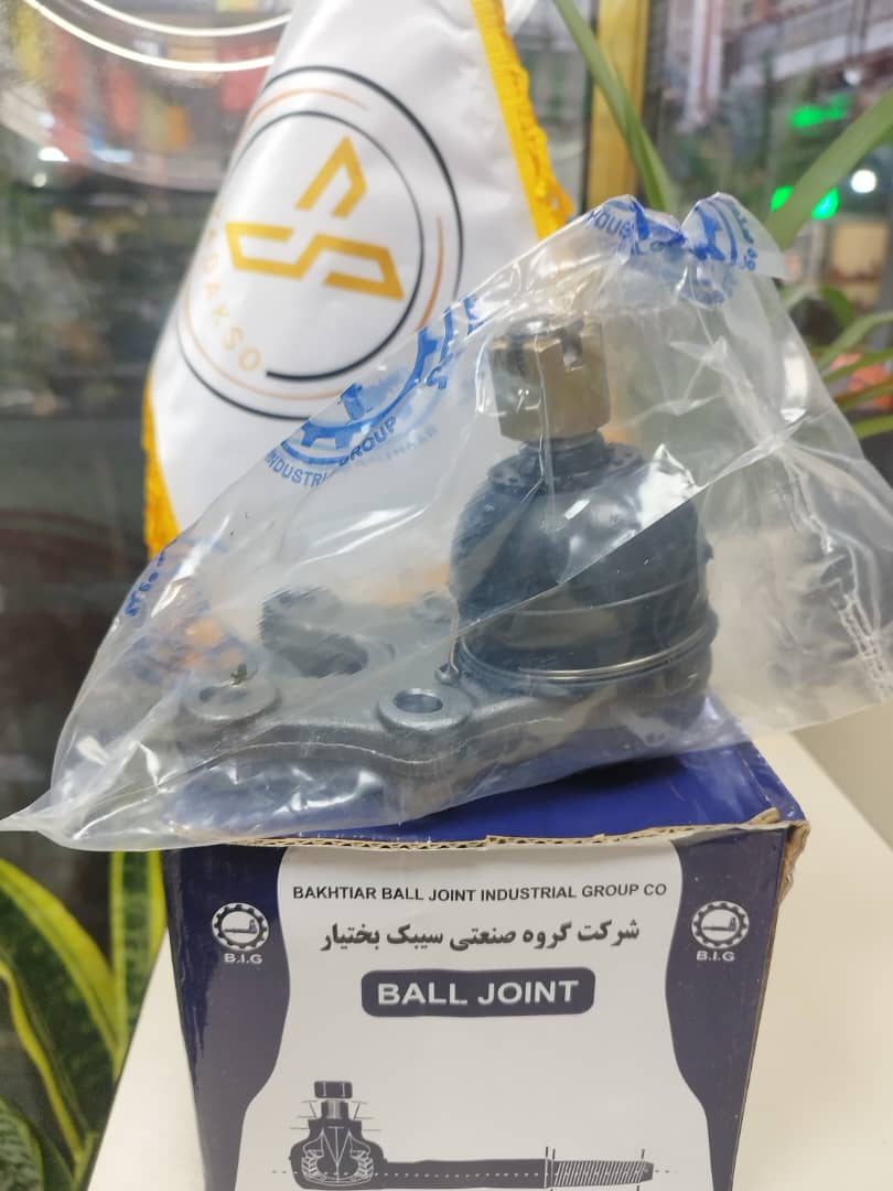 سیبک طبق پایین