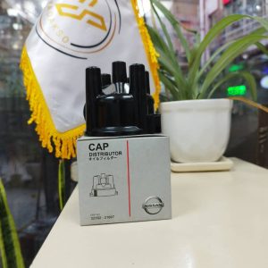 درب دلکو نیسان پلاتینی